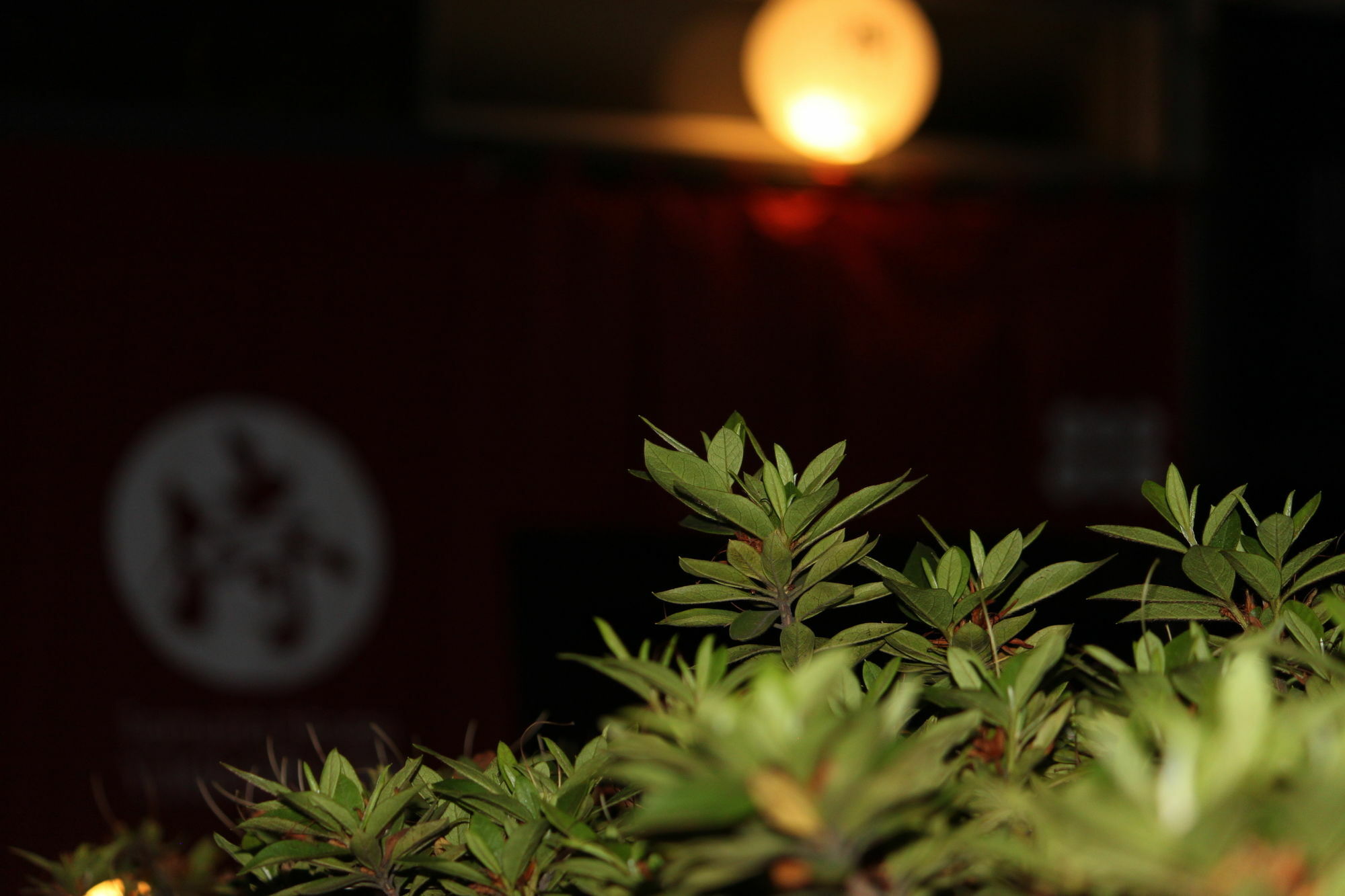 Samurai House Yukimura Tokio Zewnętrze zdjęcie